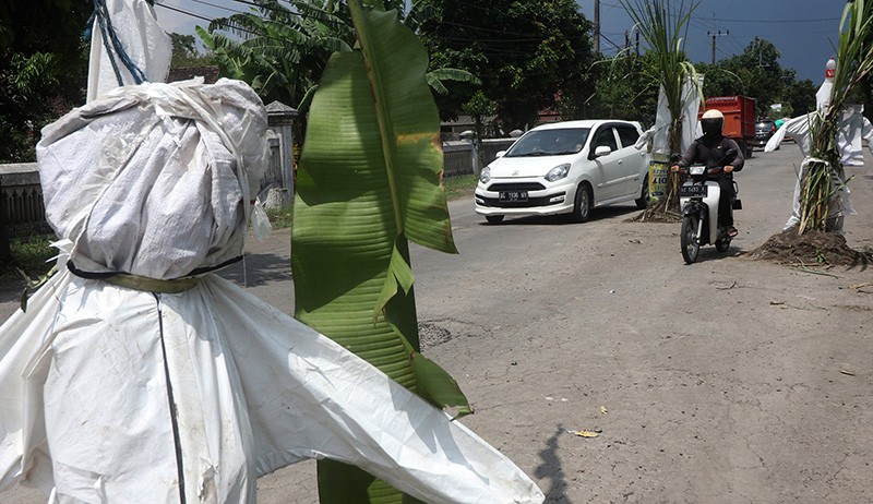Protes, Warga Kediri Tanam Pohon Pisang dan Tebu di Tengah Jalan yang Rusak - Bagian 3