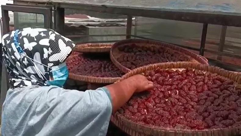 Silakan Coba, Camilan Rasa Kurma Buatan Warga Semarang 