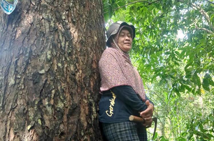 Mengenal Sri Hartini, Kartini dari Gunungkidul Sang Pelestari Hutan Adat Wonosadi  
