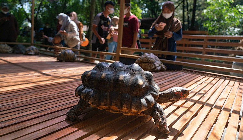 Pengunjung Gembira Loka Zoo Melonjak Tahun Ini - Bagian 2