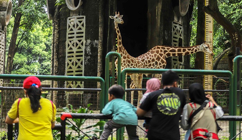 Suasana Libur Lebaran di Taman Margasatwa Ragunan - Bagian 3