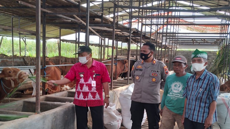 Cegah Virus PMK, Polres Semarang Siapkan Lockdown Lokal Lalu Lintas Perdagangan Hewan