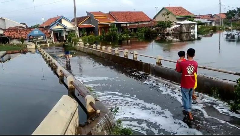 Wilayah Genangan Banjir Rob Meluas, Pesisir Pekalongan Terancam Tenggelam