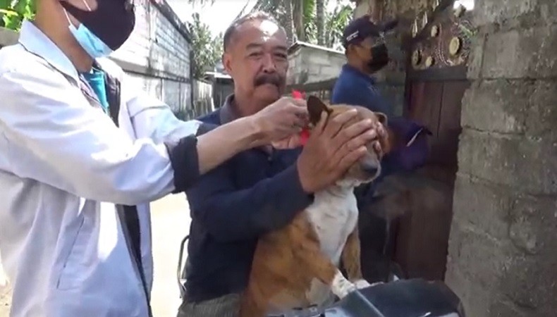 Jembrana KLB Rabies, Dinkes Catat 51 Desa Masuk Zona Merah
