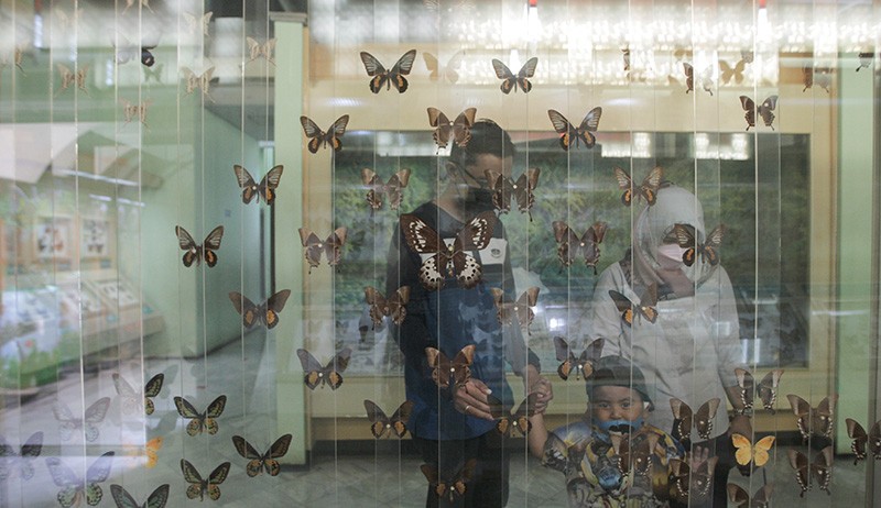Mengenal Dunia Air Tawar dan Serangga di Taman Mini Indonesia Indah - Bagian 1