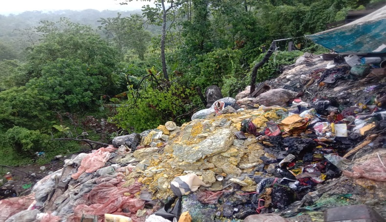 Lahan Perhutanan Sosial di Karawang Jadi Tempat Buang Limbah B3, Dedi Mulyadi Kaget