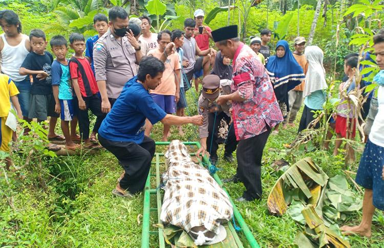 Cari Rumput, Warga Purworejo Ditemukan Tewas di Kebun