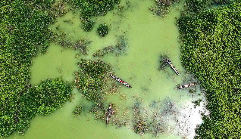 Penampakan Danau Limboto dalam Kondisi Kritis Dipenuhi Eceng Gondok - Bagian 1