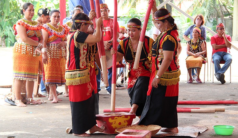 Tradisi Perempuan Suku Daya Ikuti Lomba Menumbuk Padi  - Bagian 1