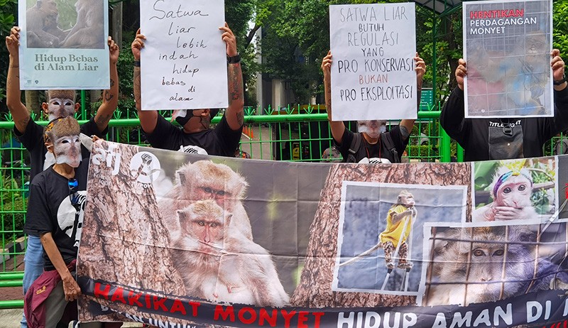 Aksi Koalisi Monyet Ekor Panjang Protes Perdagangan Satwa Liar - Bagian 1