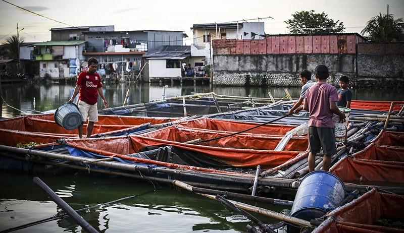 Potret Warga Kampung Apung Jakarta Bertahan meski Rumah Terendam Puluhan Tahun - Bagian 1