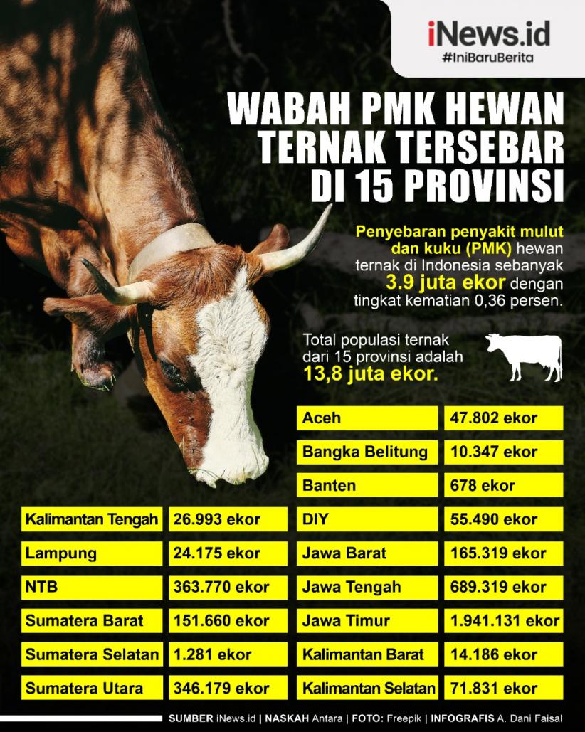  Infografis Wabah Penyakit Mulut dan Kuku Hewan Ternak Tersebar di 15 Provinsi