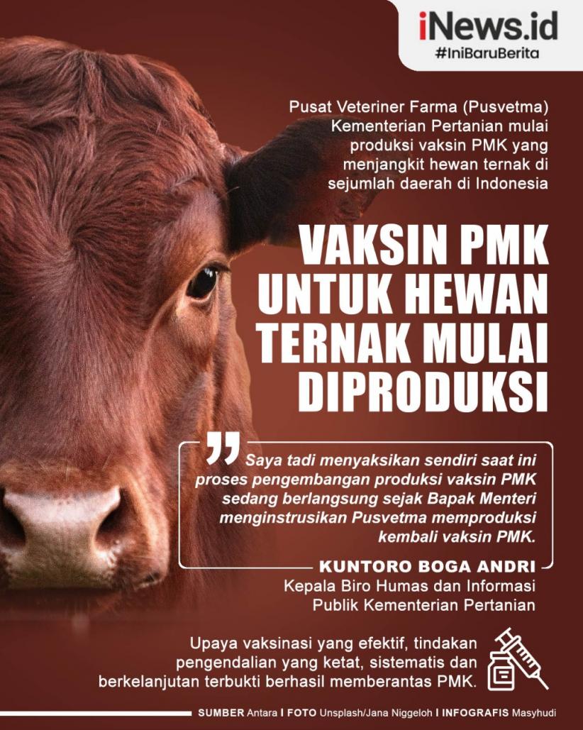 Infografis Vaksin PMK untuk Hewan Ternak Mulai Diproduksi