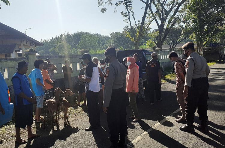 Nekat Jualan di Depan Pasar Siyonoharjo, Pedagang Hewan Dibubarkan Petugas Gabungan
