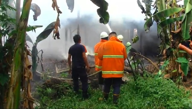 Pabrik Penyulingan Daun Cengkih di Lumajang Ludes Terbakar