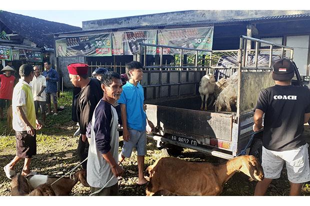  Ternak dari Luar Bantul Wajib Dikarantina 14 Hari 