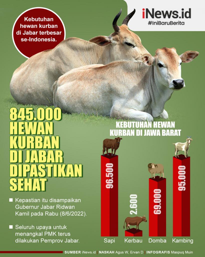 Infografis 845.000 Hewan Kurban di Jabar Dipastikan Sehat