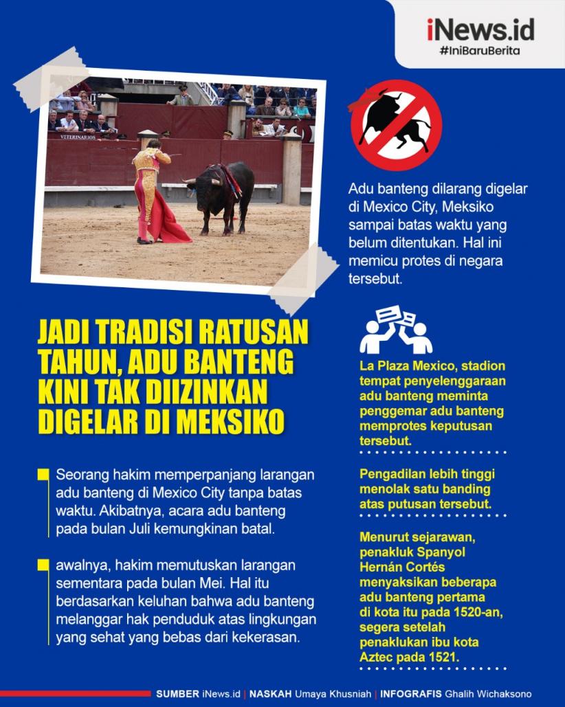 Infografis Jadi Tradisi Ratusan Tahun, Adu Banteng Kini Tak Diizinkan Digelar di Meksiko