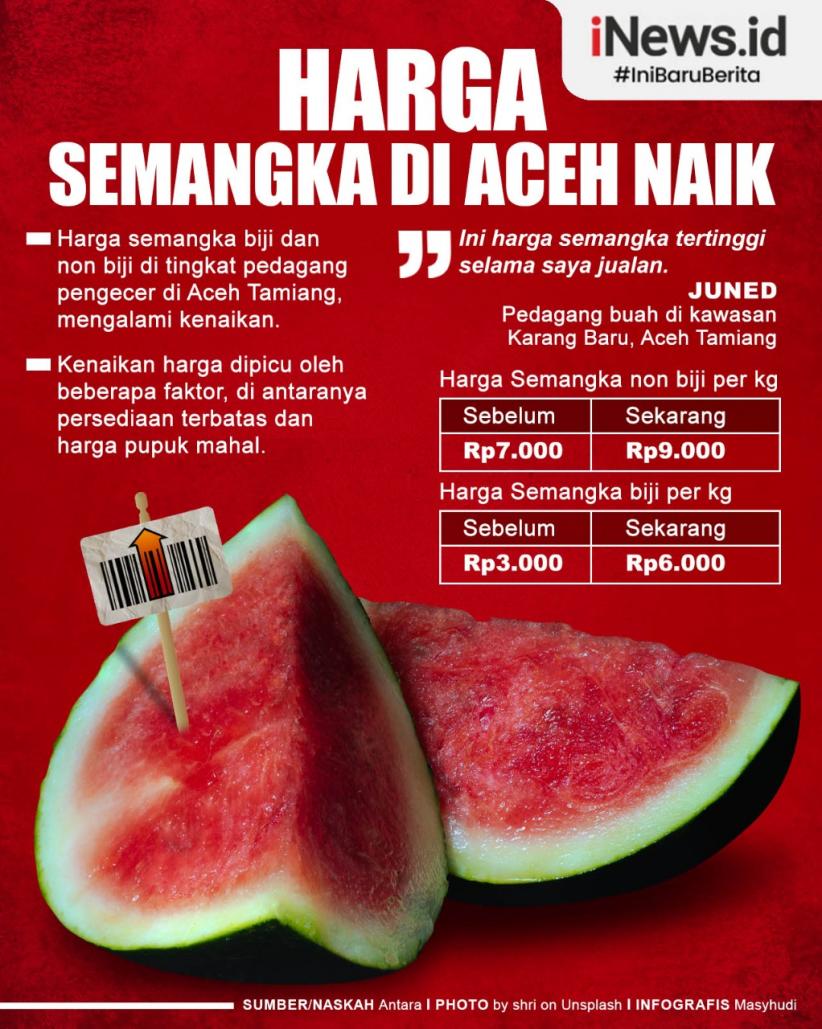 Infografis Harga Semangka di Aceh Naik