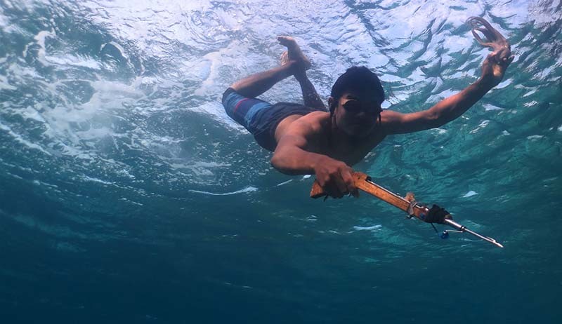 Nelayan Suku Bajo Menyelam Tanpa Alat Bantu Pernapasan Berburu Gurita - Bagian 2