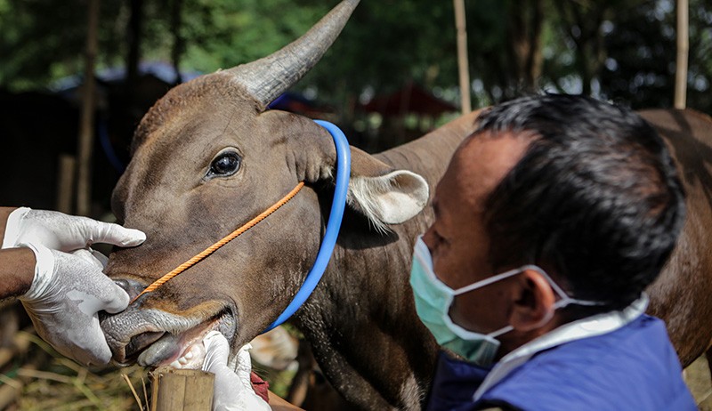 Pemkot Tangerang Larang Hewan Kurban Luar Daerah Masuk - Bagian 1