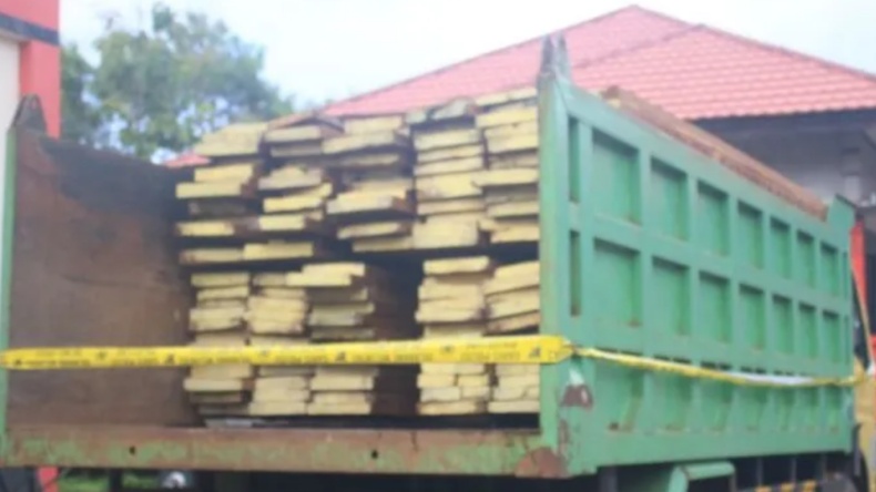 Selundupkan Kayu ke Kupang, 3 Pria di Tanimbar Dicegat Polisi