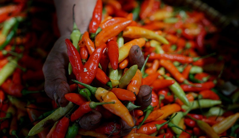 Harga Cabai Rawit Semakin Pedas di Yogyakarta, Tembus Rp100.000 per Kilogram - Bagian 1