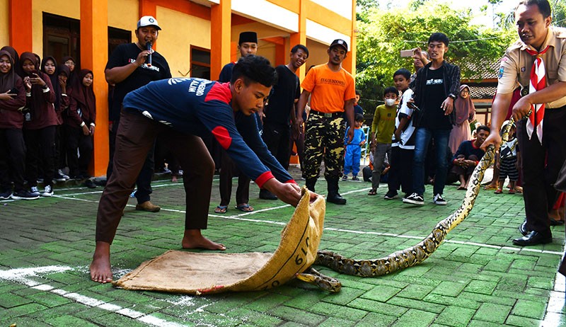 Damkar Edukasi Anggota Pramuka Cara Menangkap Ular Tanpa Harus Membunuh - Bagian 1
