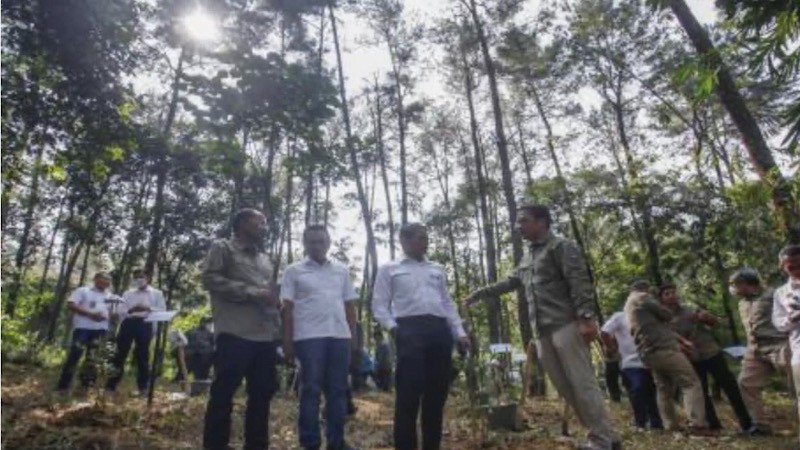 Perhutani dan Pertamina NRE Mampu Hasilkan Kredit Karbon 11,6 Juta Ton Co2 per Tahun - Bagian 1