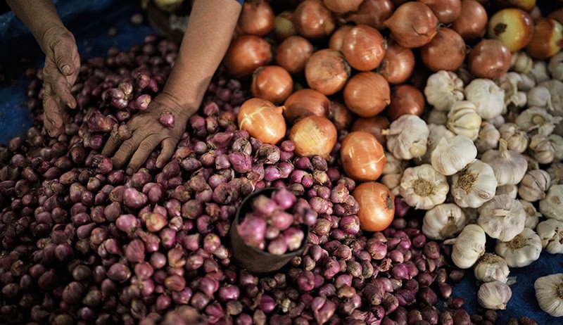 Harga Bawang Merah di Kendari Tembus Rp75.000 per Kilogram - Bagian 1