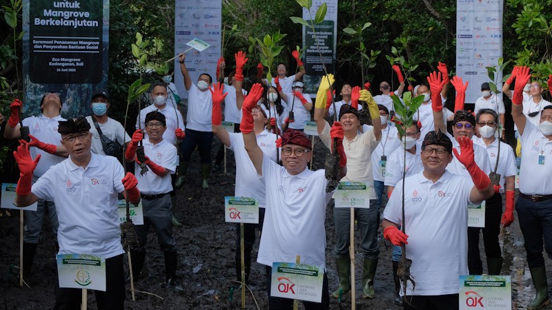Dukung Ekonomi Hijau Berkelanjutan, OJK Tanam 20.000 Mangrove di Bali - Bagian 1