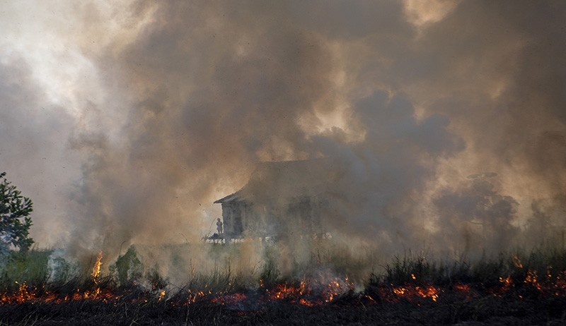 Damkar Berjibaku Padamkan Kebakaran Lahan di Desa Sukarame Ogan Ilir - Bagian 3
