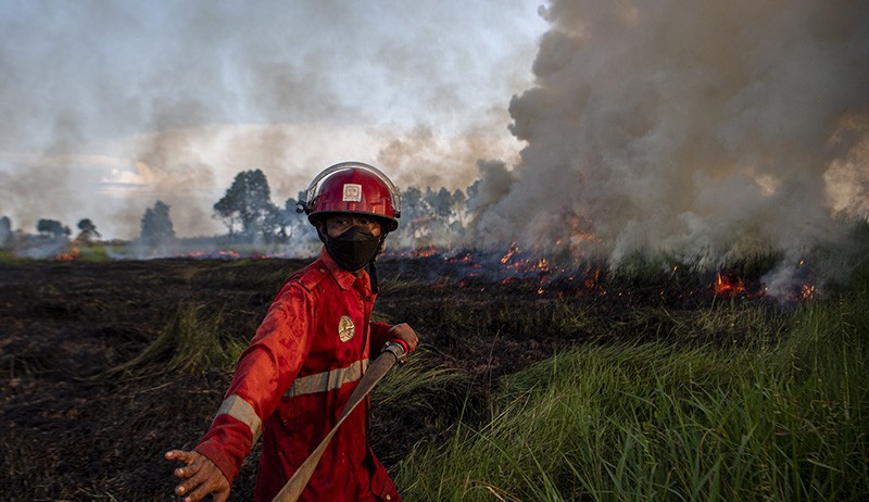 Damkar Berjibaku Padamkan Kebakaran Lahan di Desa Sukarame Ogan Ilir - Bagian 1