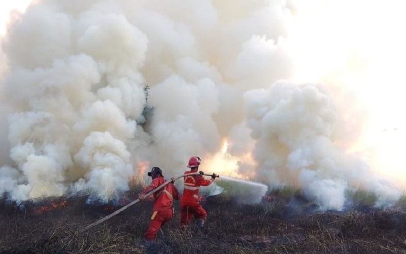 Karhutla Melanda Lahan di Pemulutan Ogan Ilir, Ini Penjelasan Manggala Agni 