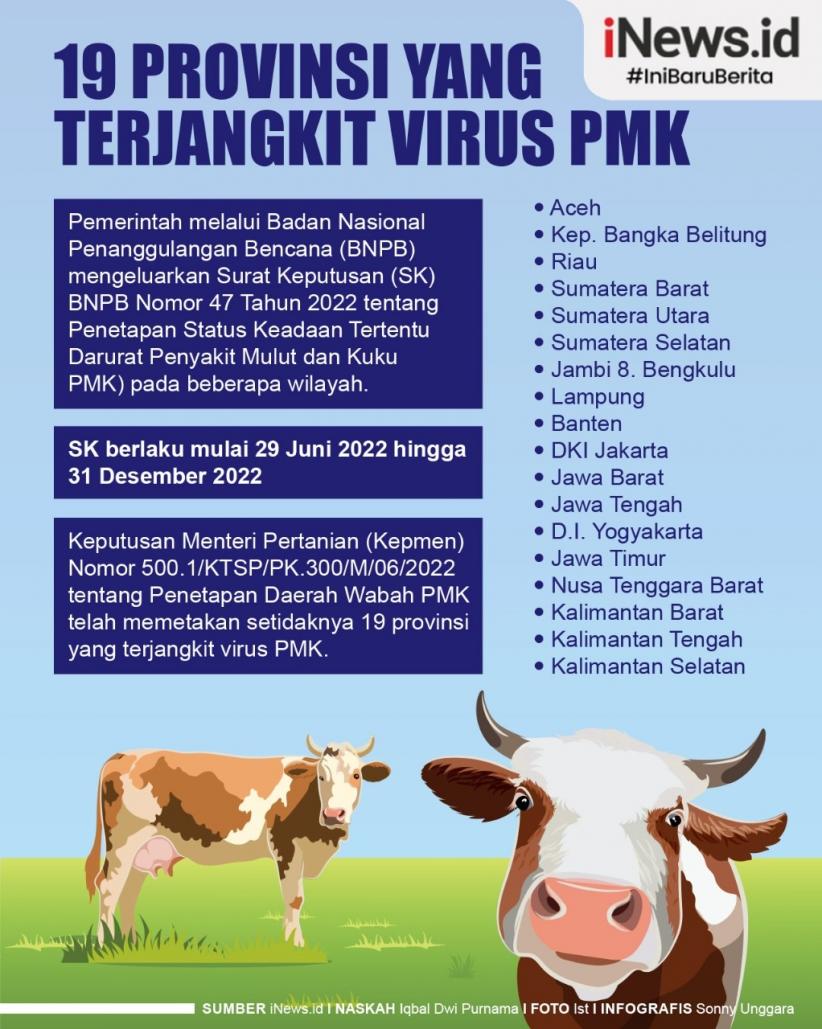 Infografis 19 Provinsi yang Terjangkit Virus PMK 
