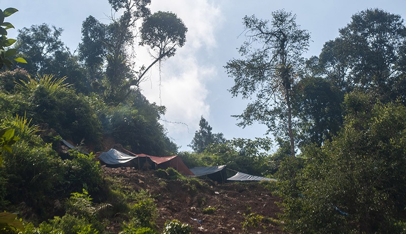 Penampakan Tambang Emas Ilegal di TN Gunung Halimun Salak, Hutan Menjadi Rusak - Bagian 2