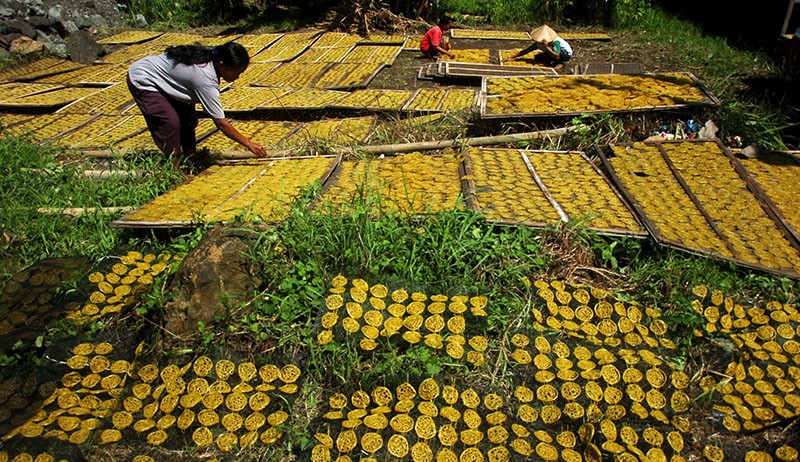 Produksi Kerupuk Mie Terkendala Kenaikan Harga Tepung Tapioka - Bagian 2