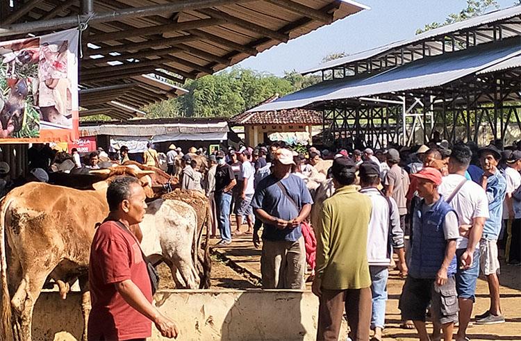 Gunungkidul Lakukan Penyekatan Hewan Kurban Jelang Idul Adha