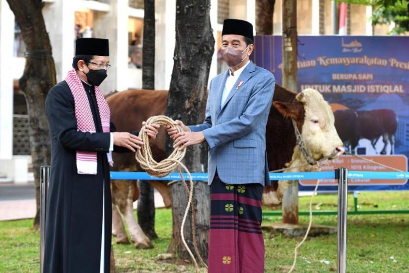 Presiden Jokowi Serahkan Sapi Kurban Seberat 1 Ton ke Masjid Istiqlal - Bagian 1