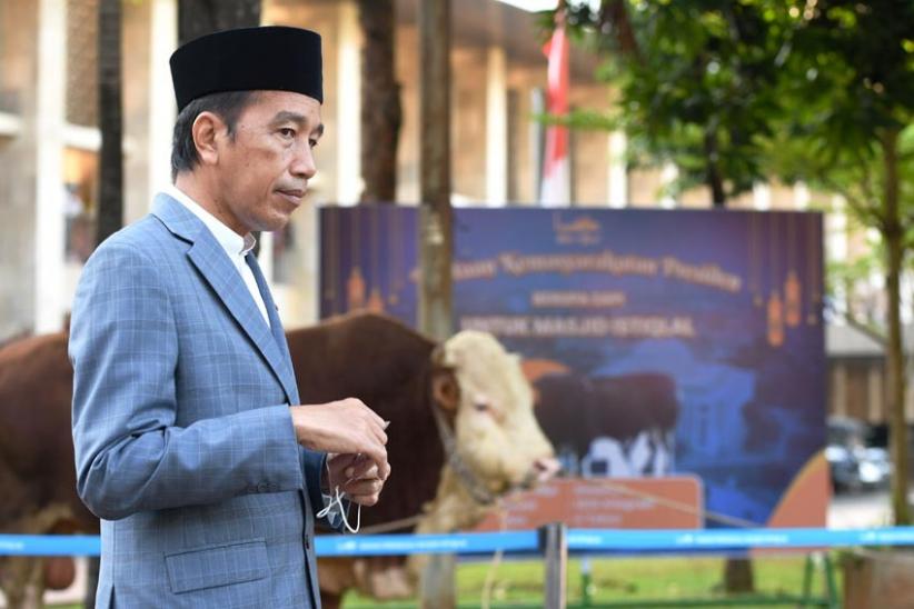 Presiden Jokowi Serahkan Sapi Kurban Seberat 1 Ton ke Masjid Istiqlal - Bagian 3