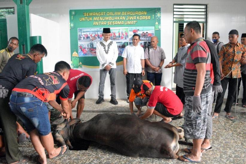  Danrem 172/PWY Serahkan Hewan Kurban di Masjid Ridho Allah  - Bagian 1