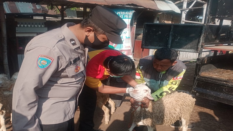 Cegah Wabah PMK, Polresta Solo Cek Ternak di Pasar Hewan