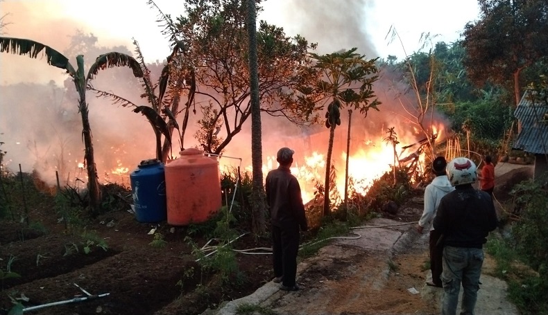 Kandang Ayam di Cipanas Cianjur Terbakar Hebat, Pemilik Rugi Rp1,2 Miliar