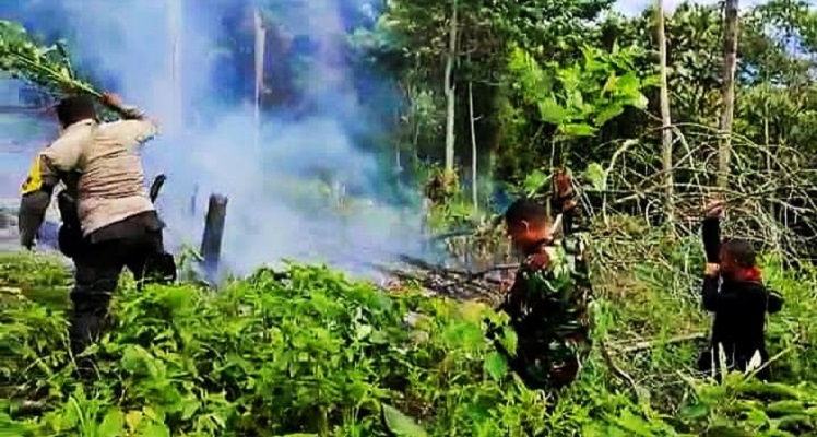 Karhutla Kembali Terjadi di Rohul, Petugas Temukan Jeriken di Lokasi