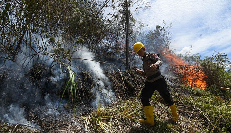 Ratusan Petugas Gabungan Berjibaku Padamkan Kebakaran Hutan dan Lahan di Samosir - Bagian 2