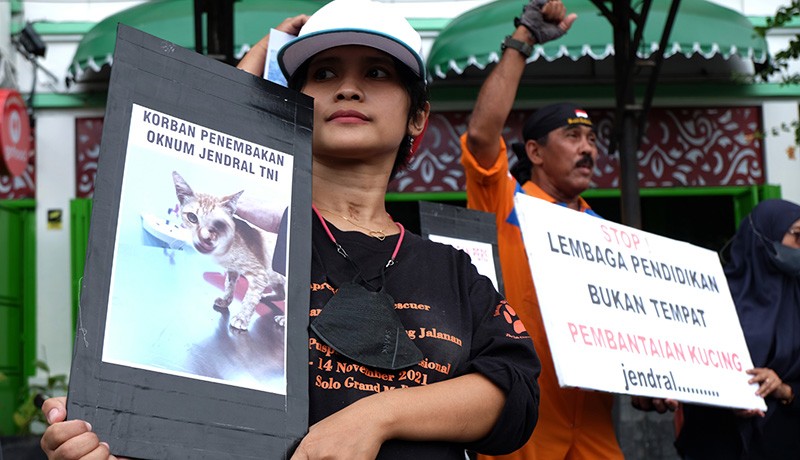 Aktivis Pencinta Hewan Dukung Jenderal Andika Usut Penembakan Kucing oleh Oknum TNI - Bagian 2