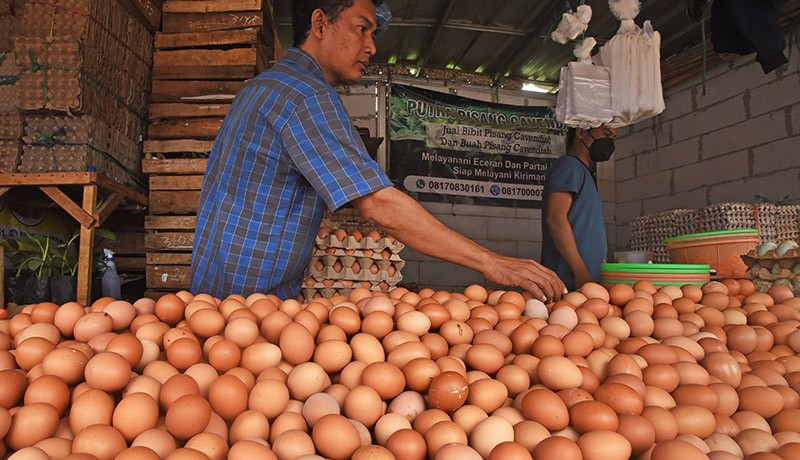 Harga Telur Ayam Naik Lagi, Kini Tembus Rp32.000 per Kilogram - Bagian 2