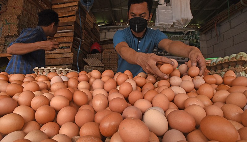 Harga Telur Tembus Rp30.000 per Kilogram, Pedagang di Prambanan Sleman Batasi Stok