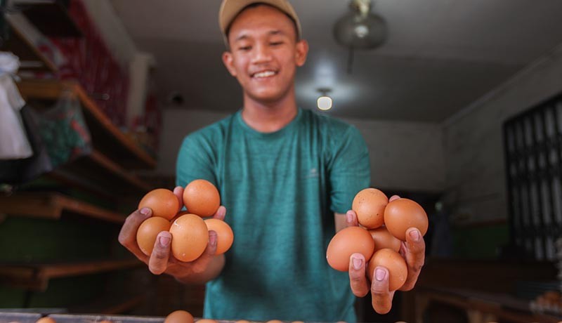 Harga Telur Ayam Rp32.000, Tertinggi Sejak Republik Indonesia Berdiri - Bagian 3