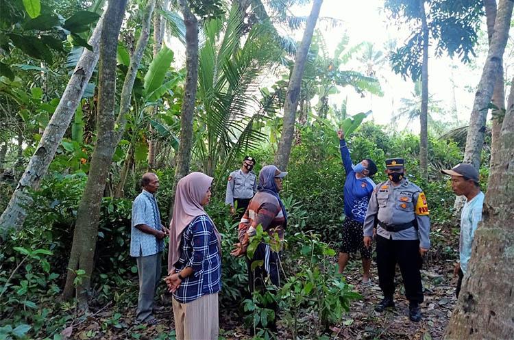 Cari Pakan Ternak, Kakek di Kulonprogo Tewas terjatuh dari Pohon Nangka Setinggi 10 Meter